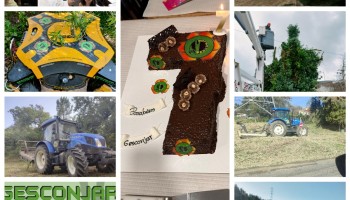 Há 7 anos a evoluir