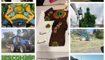 Há 7 anos a evoluir