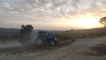 Desmatação de terreno